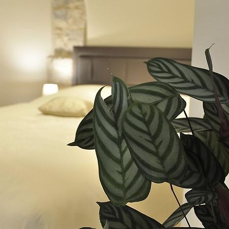 Villa Stagnja Split Zewnętrze zdjęcie
