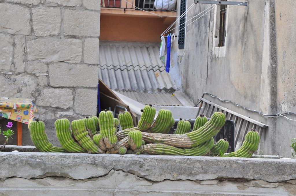 Villa Stagnja Split Pokój zdjęcie