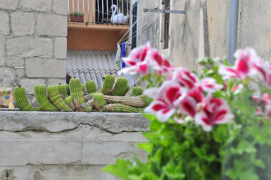 Villa Stagnja Split Pokój zdjęcie